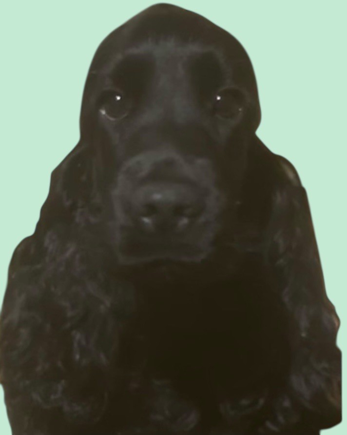 Vive madame la favorite du domaine de la Reine